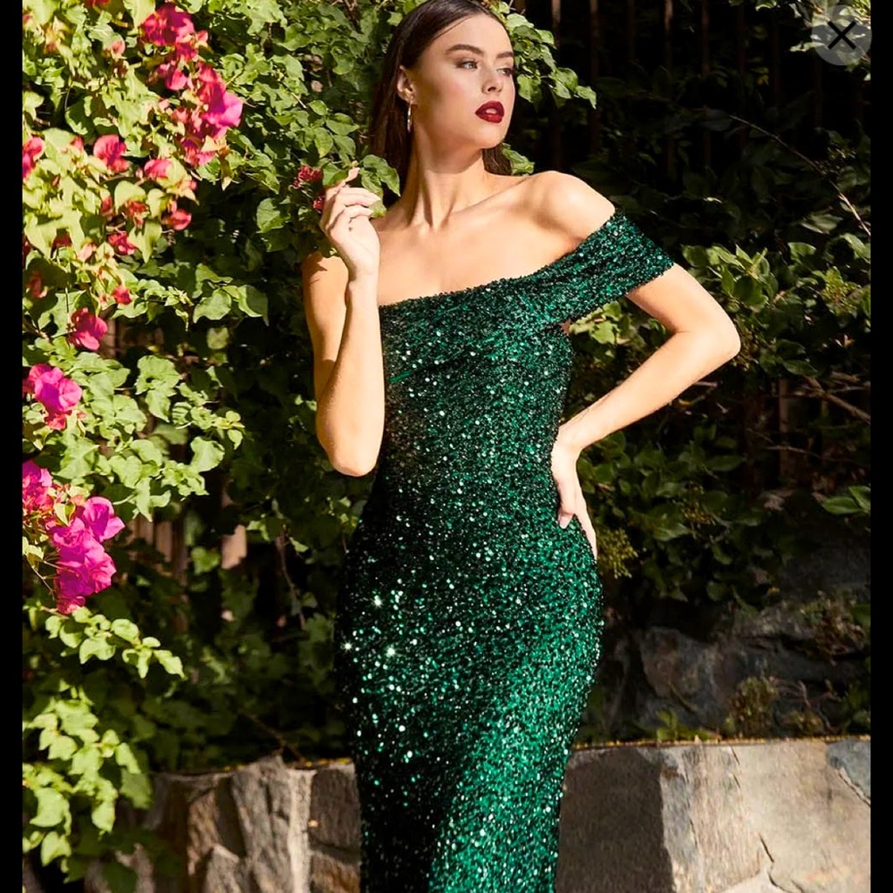 Cinderella Divine Prom Dress - Picture 1 of 8